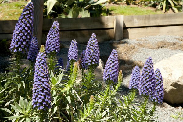 Restoring Suffolk's Tudor Treasures: A Modern Twist on Timeless Heritage